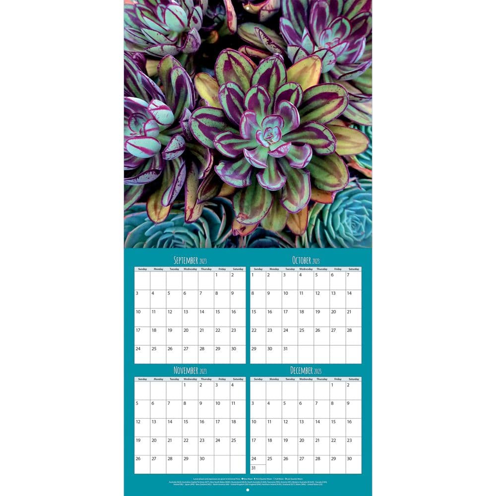 Succulents Photo 2024 Wall Calendar