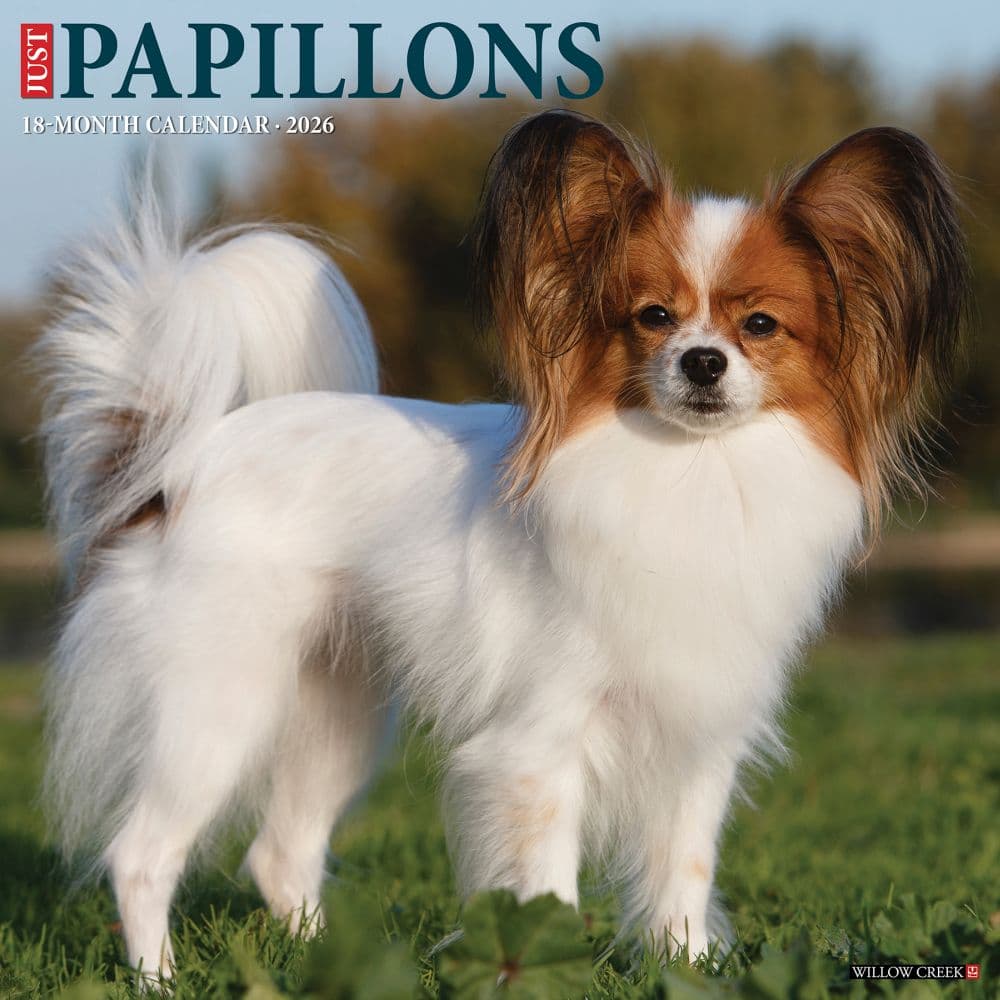 Just Papillons 2026 Wall Calendar Main Image