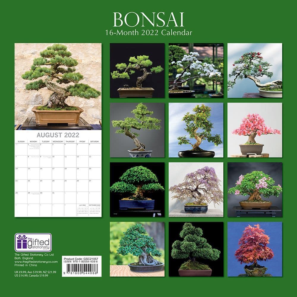 Bonsai Calendar 2022 November Calendar 2022