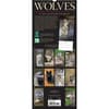 image Wolves Vertical 2025 Wall Calendar First Alternate Image width=&quot;1000&quot; height=&quot;1000&quot;