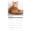 image Ginger Cats 2026 Wall Calendar Second Alternate Image