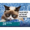 image Grumpy Cat 2025 Desk Calendar Third Alternate Image width=&quot;1000&quot; height=&quot;1000&quot;