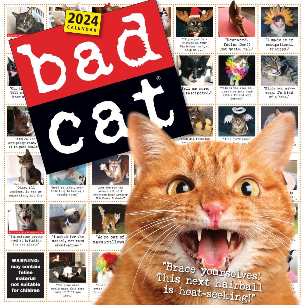 Bad Cat 365 Days 2024 Wall Calendar Main Image