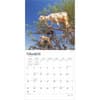 image Goats in Trees 2025 Wall Calendar Second Alternate Image