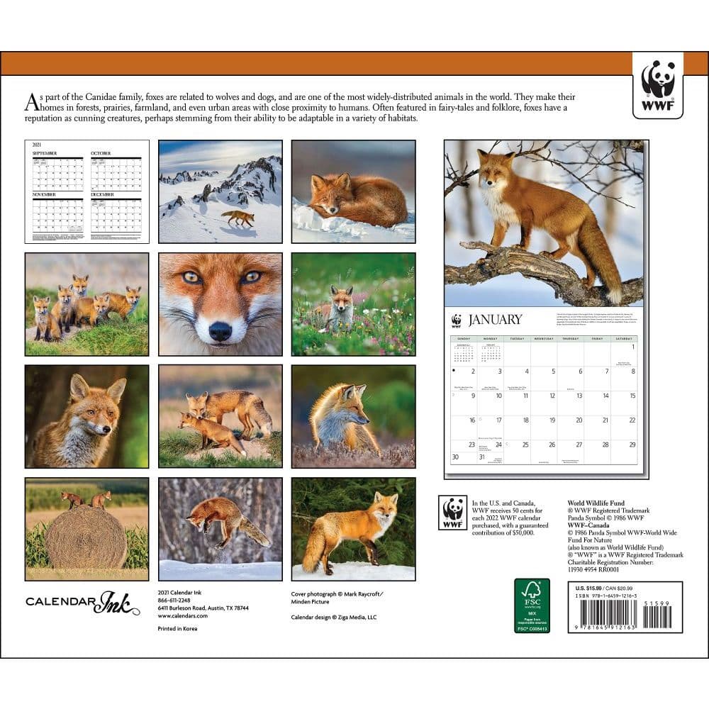 Fox Christmas Schedule 2022 Foxes Wwf 2022 Wall Calendar - Calendars.com