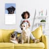 image Dogs in the Wind 2026 Wall Calendar Second  Alternate Image