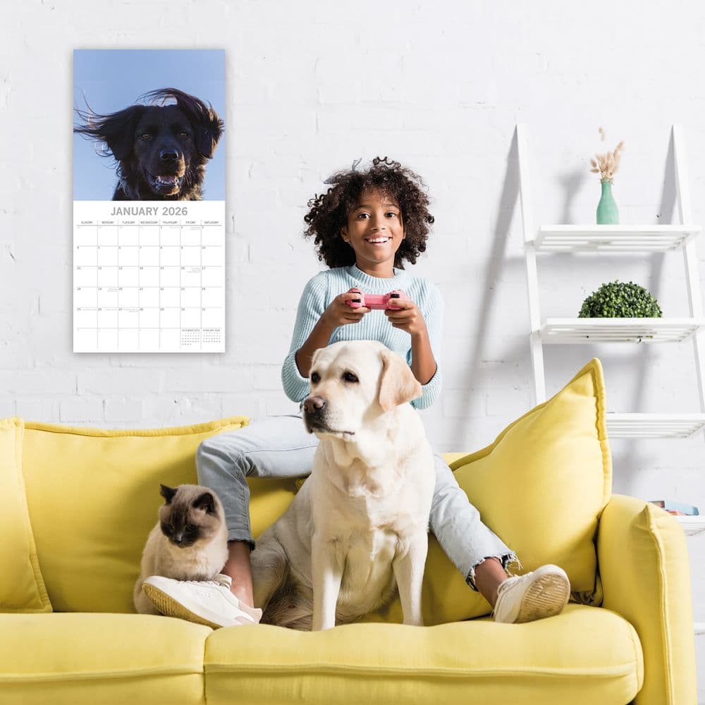 Dogs in the Wind 2026 Wall Calendar Second  Alternate Image