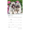 image Puppy Pals Plato Special Value 2026 Wall Calendar Third Alternate Image