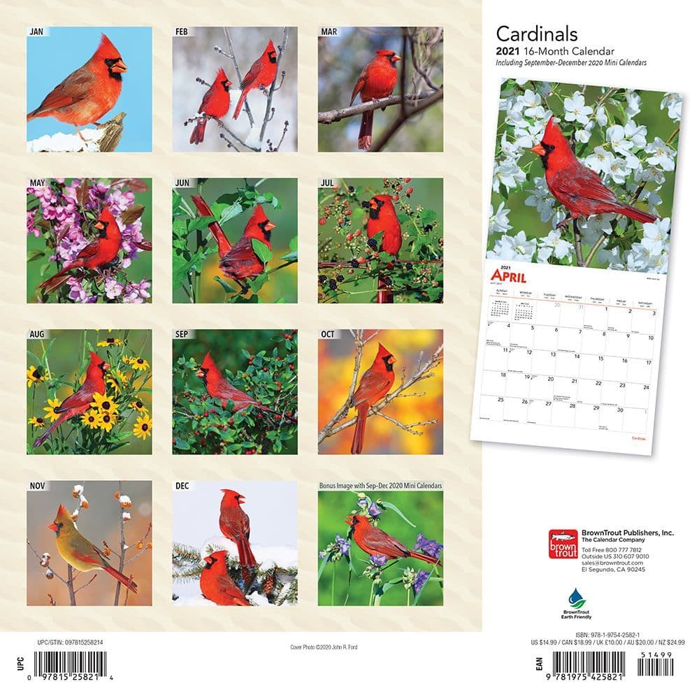CARDINAL ANGELS FROM ABOVE 2021 MINI MAGNETIC CALENDAR MONTHLY TEAR OFF PAGES