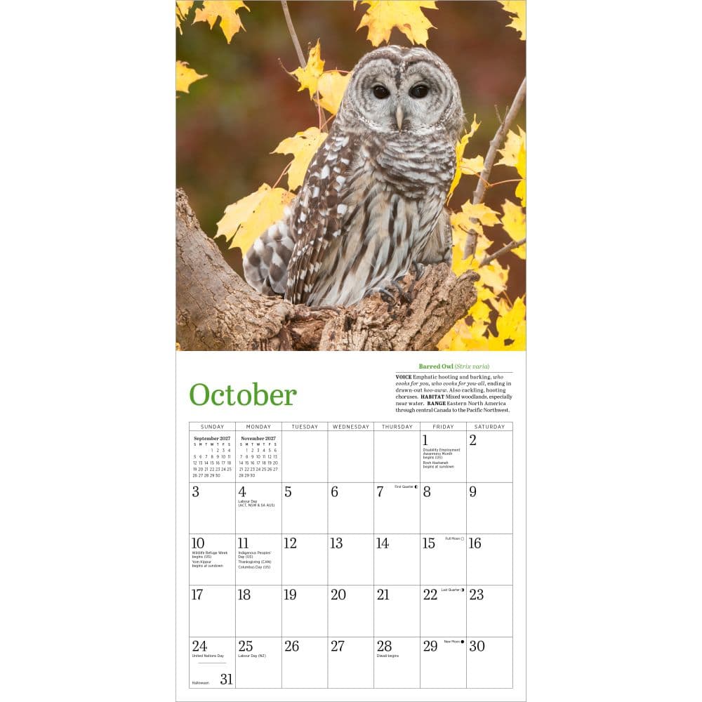 Audubon Little Owls 2027 Mini Wall Calendar Fourth Alternate Image