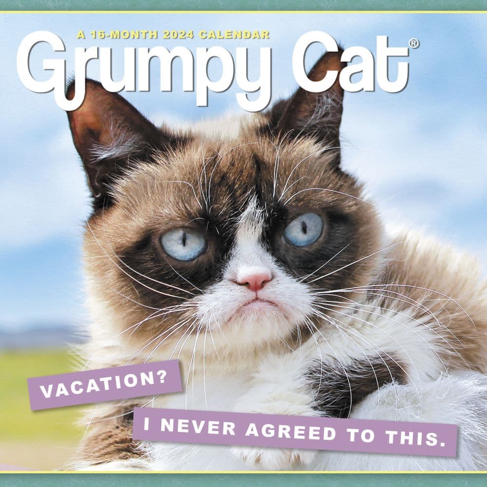 2024 Angry Cat Calendar, Angry Cat Wall Calendar, Funny Wall Art