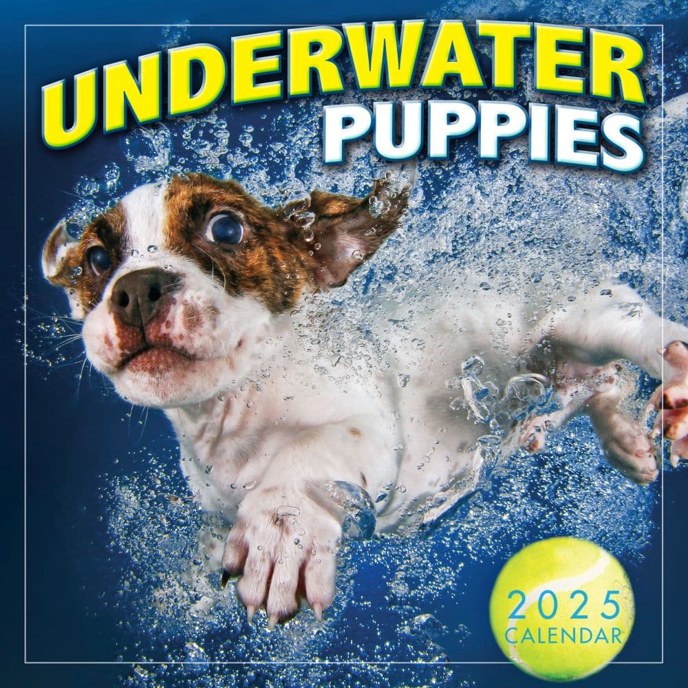 Underwater Puppies By Seth Casteel 2025 Mini Wall Calendar Main Product Image width=&quot;1000&quot; height=&quot;1000&quot;