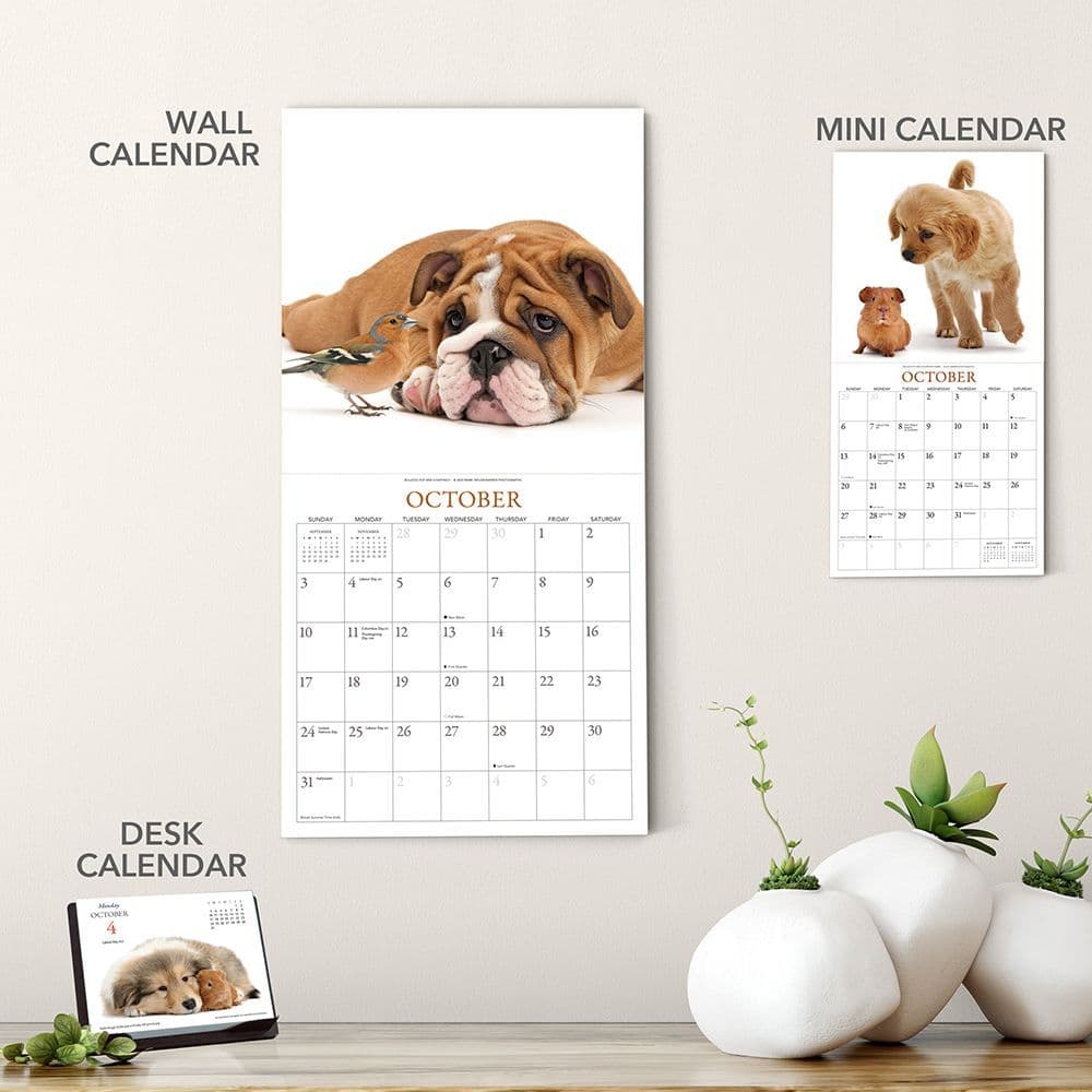Puppies And Friends Desk Calendar