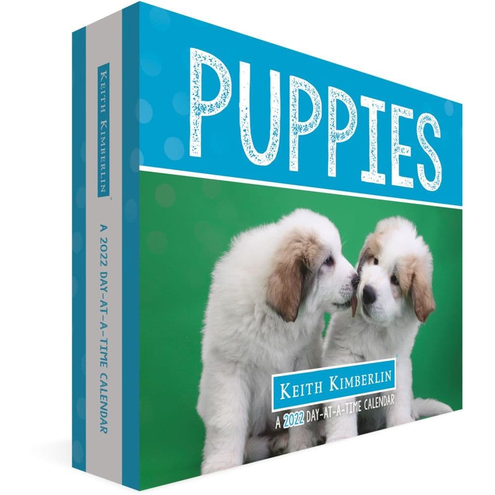 Puppies (Kimberlin) 2022 Desk Calendar