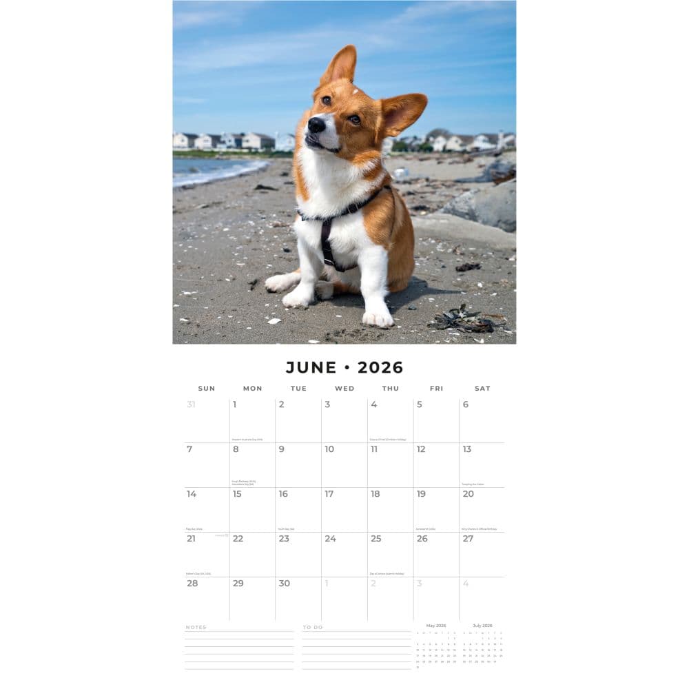 Welsh Corgis 2026 Wall Calendar Second Alternate Image