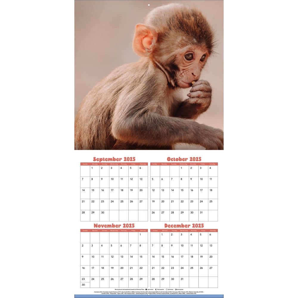 Baby Animals Photo 2026 Wall Calendar_ALT2