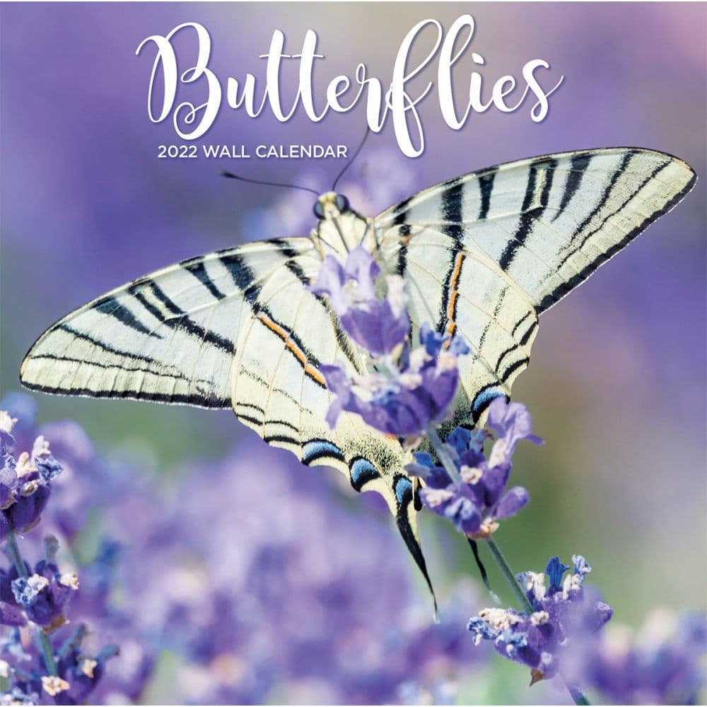 Butterflies 2022 Wall Calendar SV