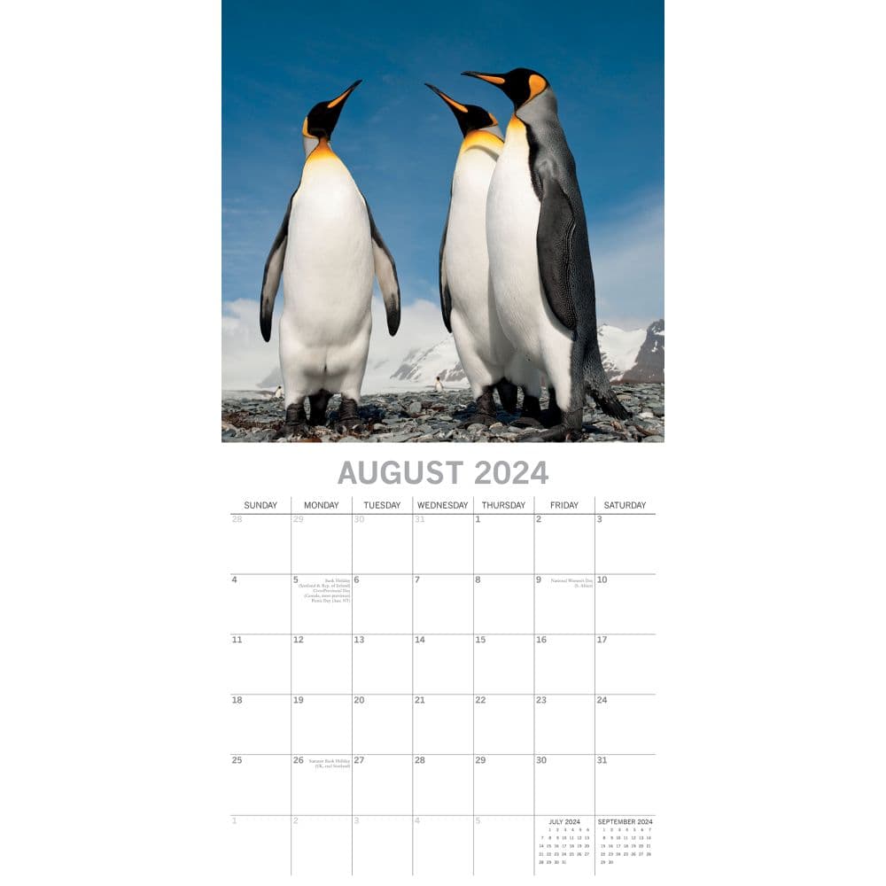 Penguins 2025 Wall Calendar