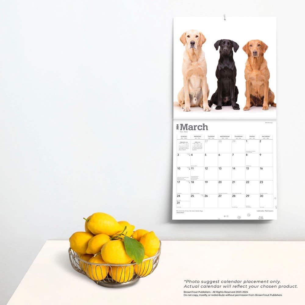 Labrador Retriever 2024 Wall Calendar Calendars Com   3ceae6db 56ec 466c 929a 600b7d3b90ae