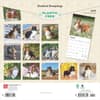 image Shetland Sheepdogs 2025 Wall Calendar First Alternate Image width=&quot;1000&quot; height=&quot;1000&quot;