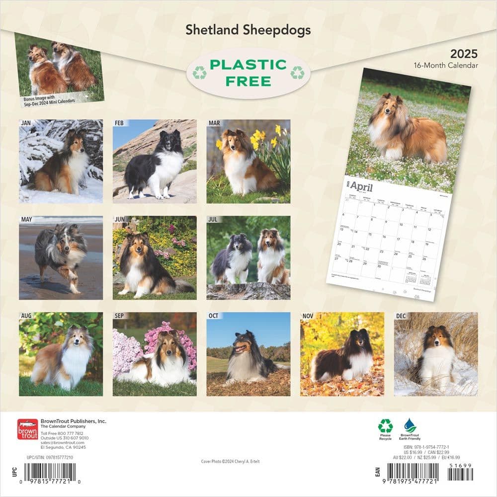 Shetland Sheepdogs 2025 Wall Calendar First Alternate Image width=&quot;1000&quot; height=&quot;1000&quot;