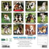 image What Puppies Teach Us 2025 Wall Calendar First Alternate Image width=&quot;1000&quot; height=&quot;1000&quot;