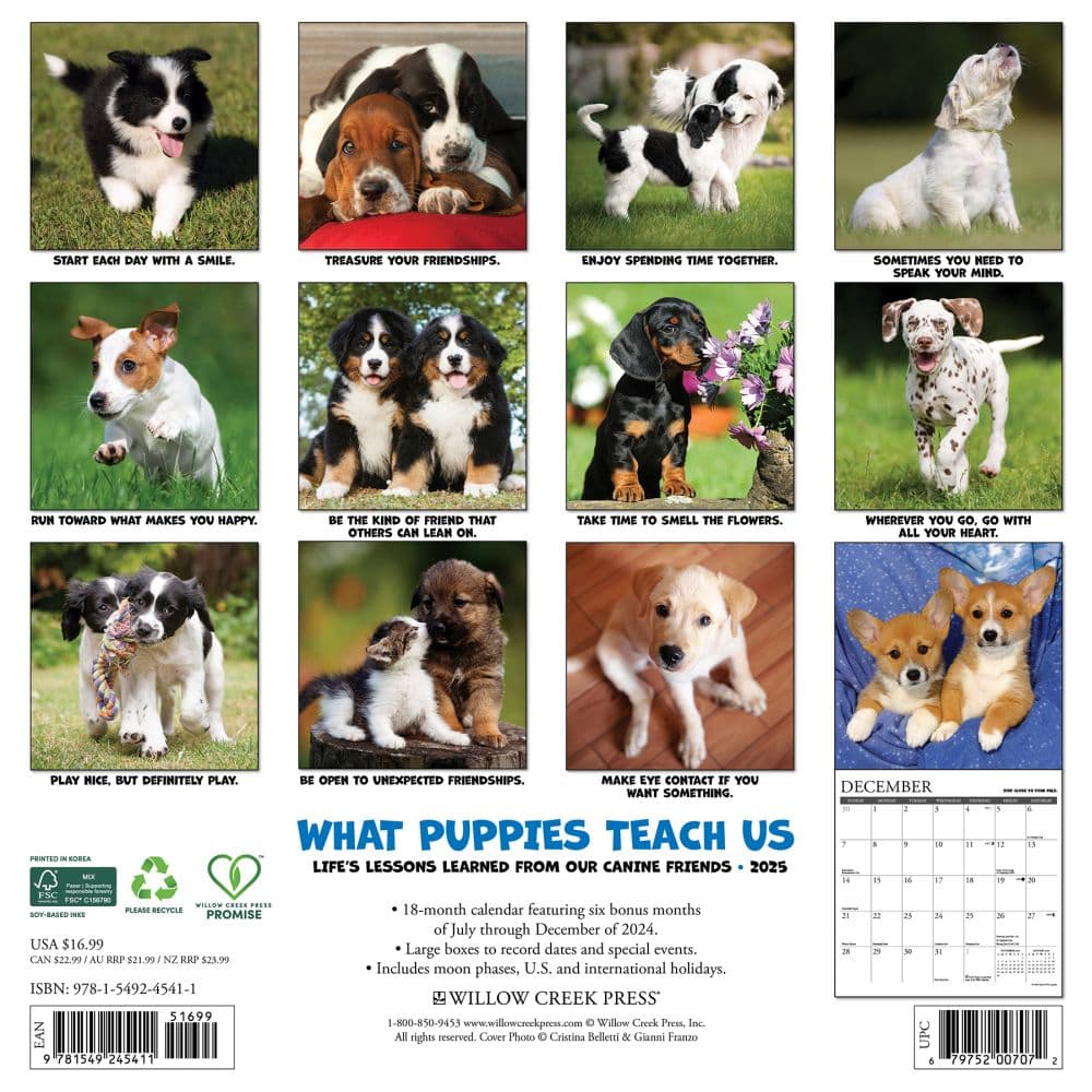 What Puppies Teach Us 2025 Wall Calendar First Alternate Image width=&quot;1000&quot; height=&quot;1000&quot;