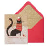 image Kitty in Scarf 10 Count Boxed Christmas Cards