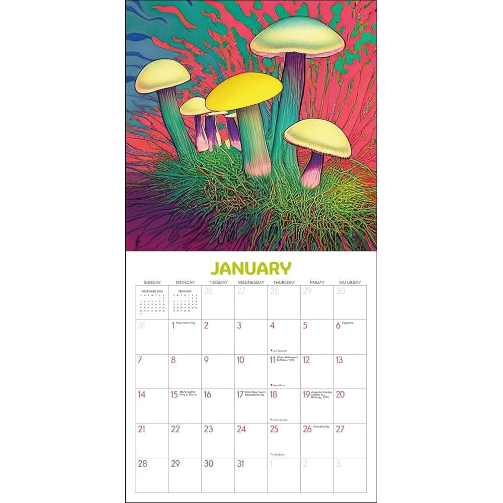Trippy Shrooms 2024 Wall Calendar Second Alternate Image width=&quot;1000&quot; height=&quot;1000&quot;