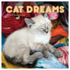 image Cat Dreams 2025 Wall Calendar Main Product Image width=&quot;1000&quot; height=&quot;1000&quot;