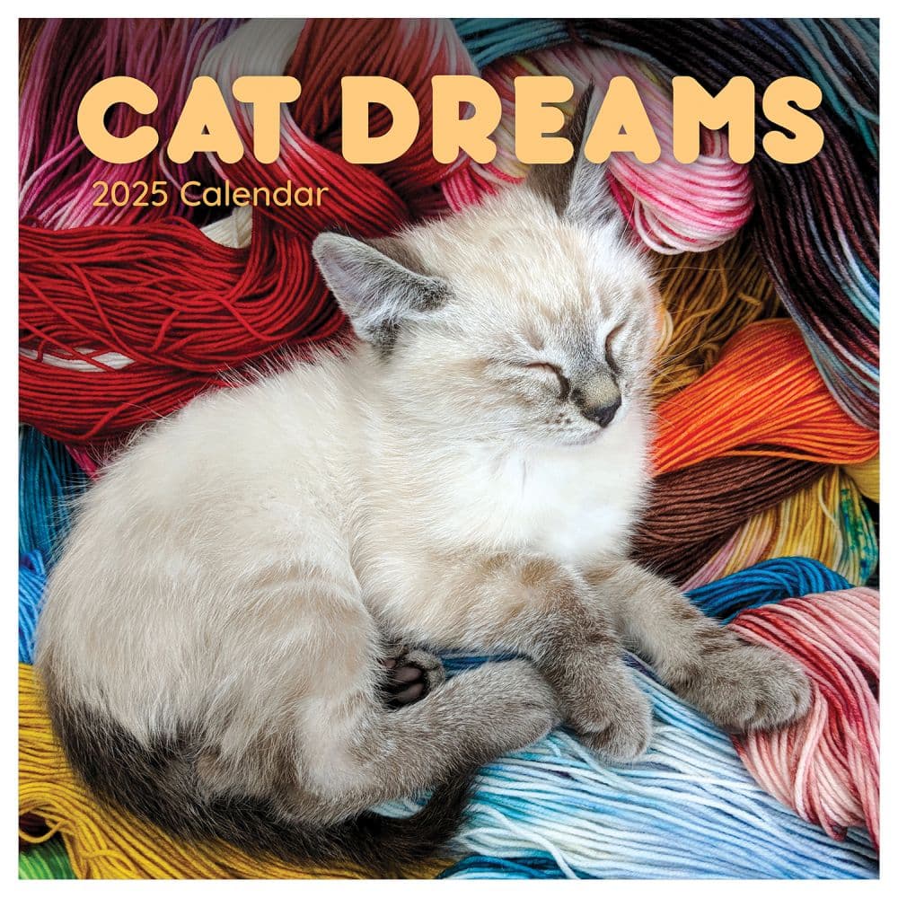 Cat Dreams 2025 Wall Calendar Main Product Image width=&quot;1000&quot; height=&quot;1000&quot;