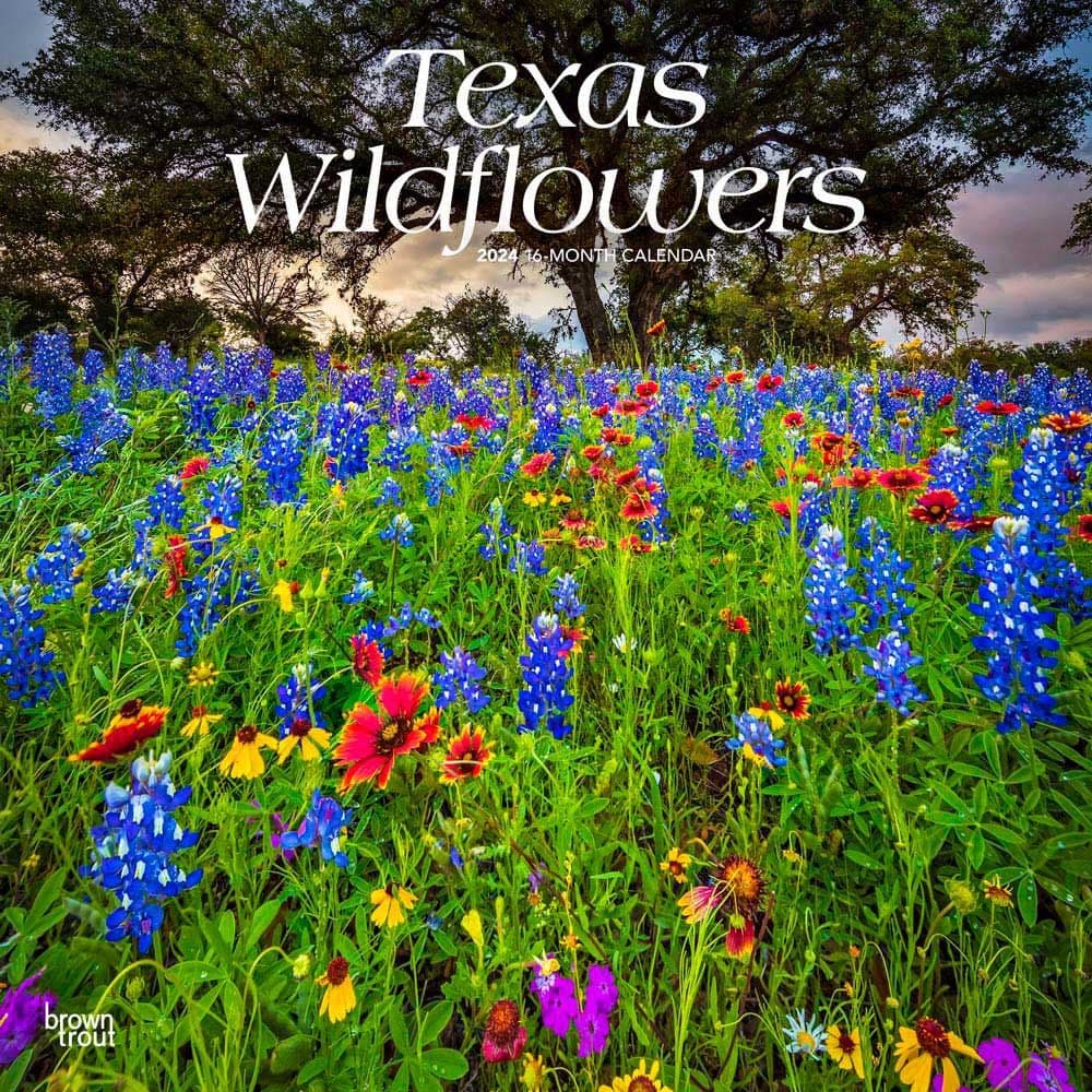Texas Wildflowers 2024 Wall Calendar Main Product Image width=&quot;1000&quot; height=&quot;1000&quot;