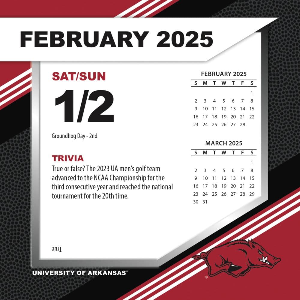 COL Arkansas Razorbacks 2025 Desk Calendar Second  Alternate Image