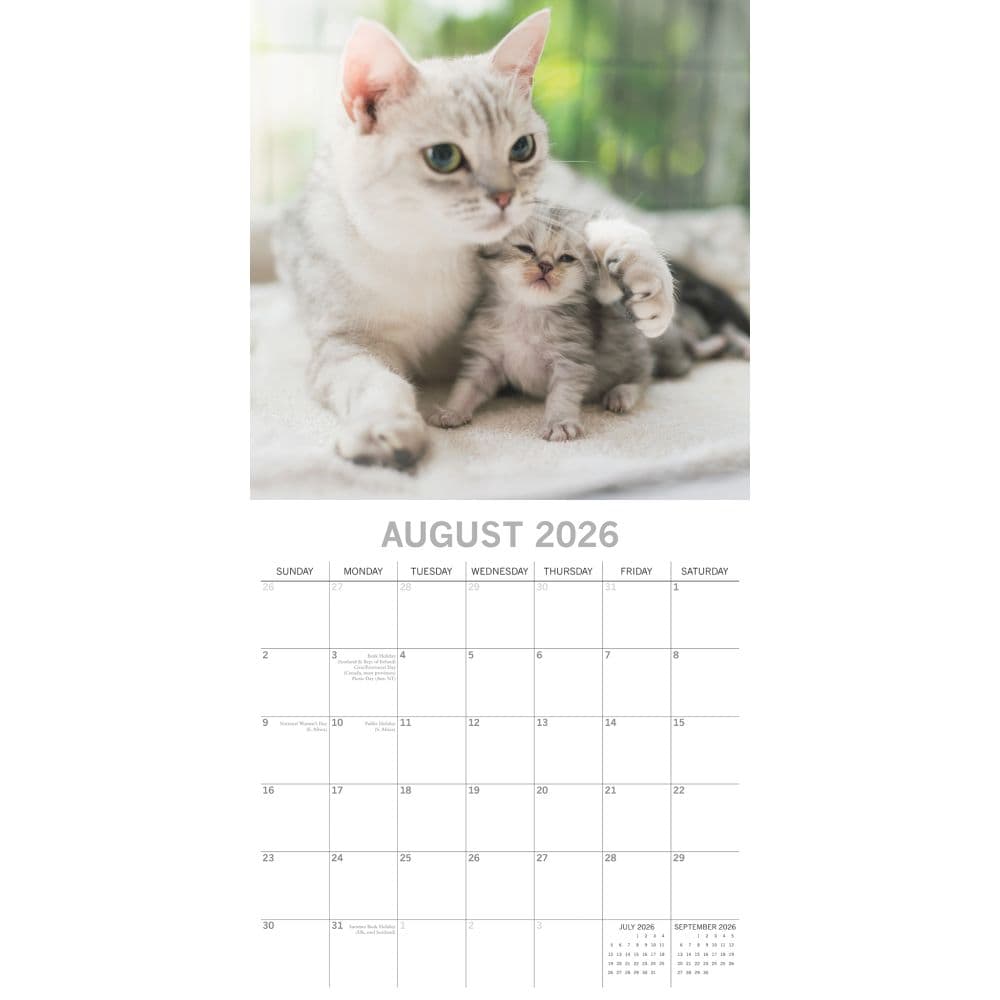 Cats and Kittens 2026 Wall Calendar Third Alternate Image