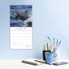 image Dolphins 2025 Wall Calendar Second Alternate Image width=&quot;1000&quot; height=&quot;1000&quot;