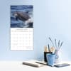 image Dolphins 2025 Wall Calendar Second Alternate Image width=&quot;1000&quot; height=&quot;1000&quot;