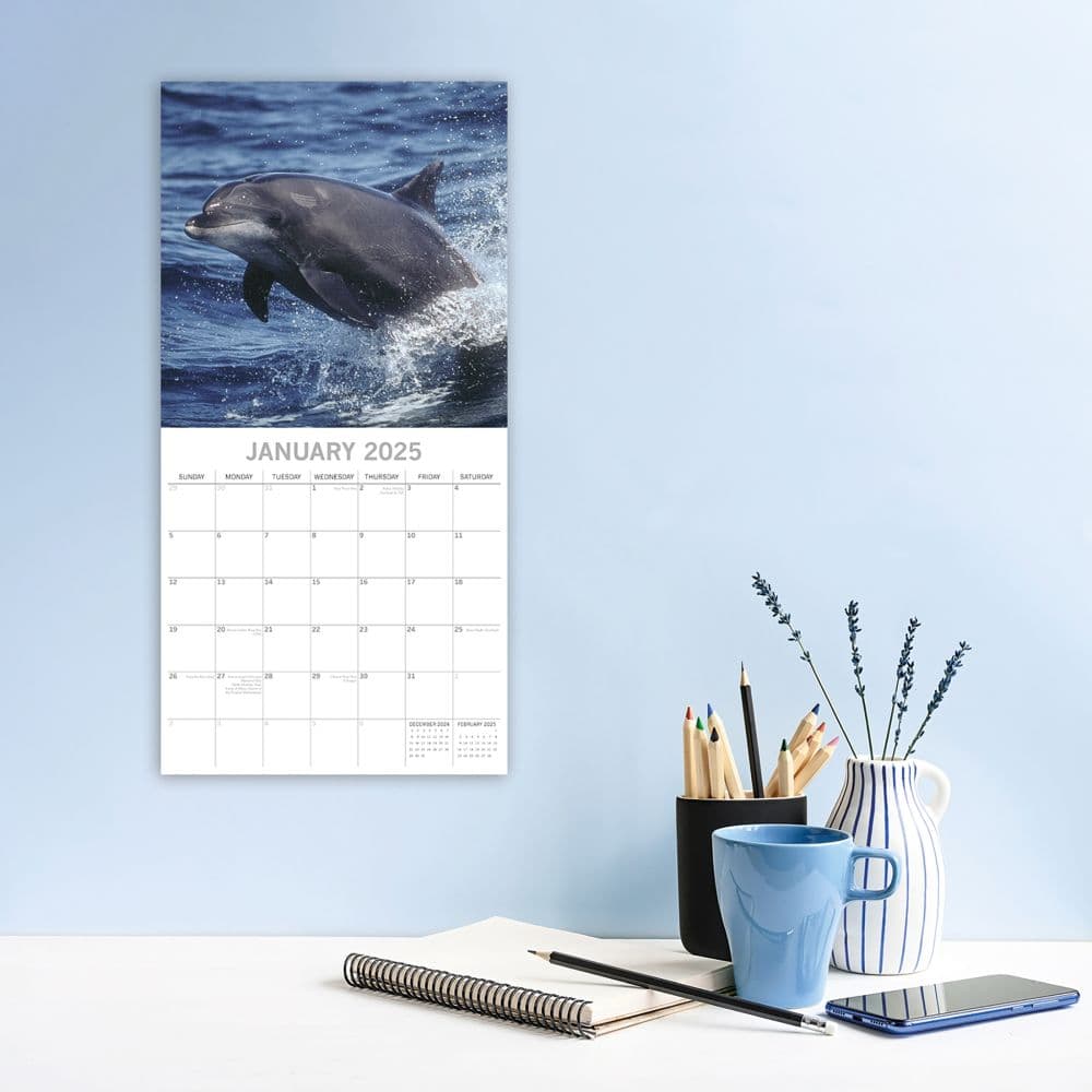 Dolphins 2025 Wall Calendar Second Alternate Image width=&quot;1000&quot; height=&quot;1000&quot;