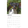 image Jack Russell Terriers 2024 Wall Calendar Second Alternate Image width=&quot;1000&quot; height=&quot;1000&quot;