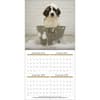 image Rachael Hale Loveable Dogs 2026 Wall Calendar Second Alternate Image