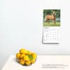 image Horses 2025 Mini Wall Calendar Fourth Alternate Image