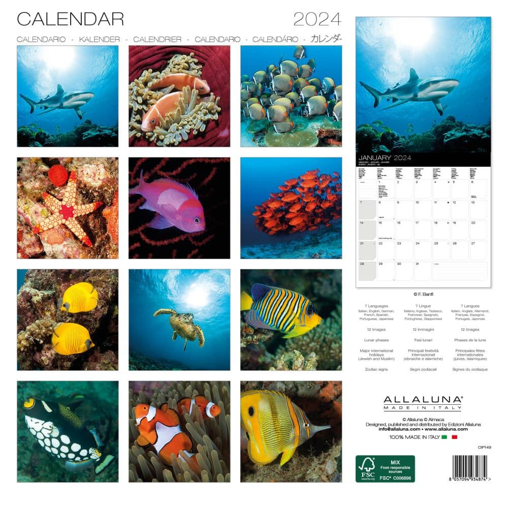Underwater World 2024 Wall Calendar