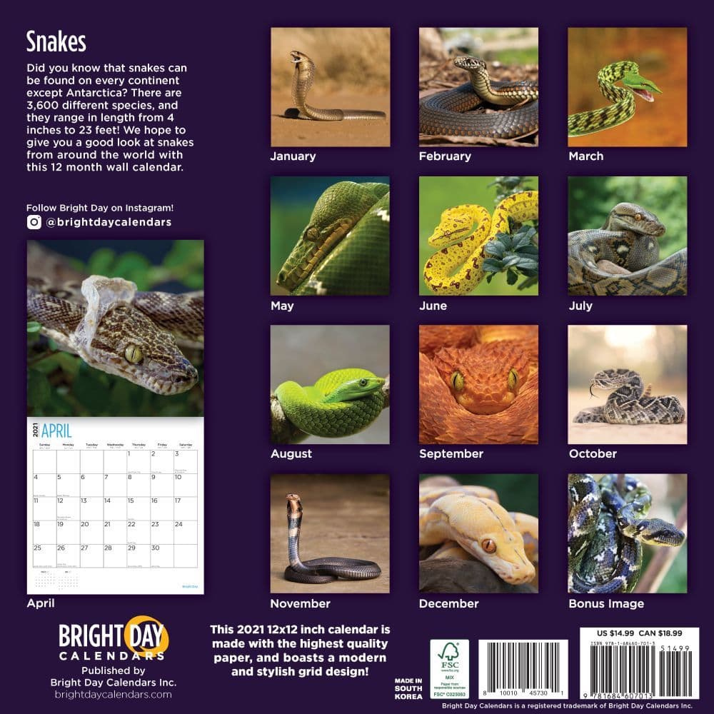 Snakes Wall Calendar - Calendars.com