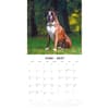 image Boxers 2027 Wall Calendar Second Alternate Image