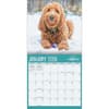 image Doodle Dogs Photo 2026 Wall Calendar