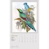 image John Goulds Exotic Birds Poster 2026 Wall Calendar Second Alternate Image