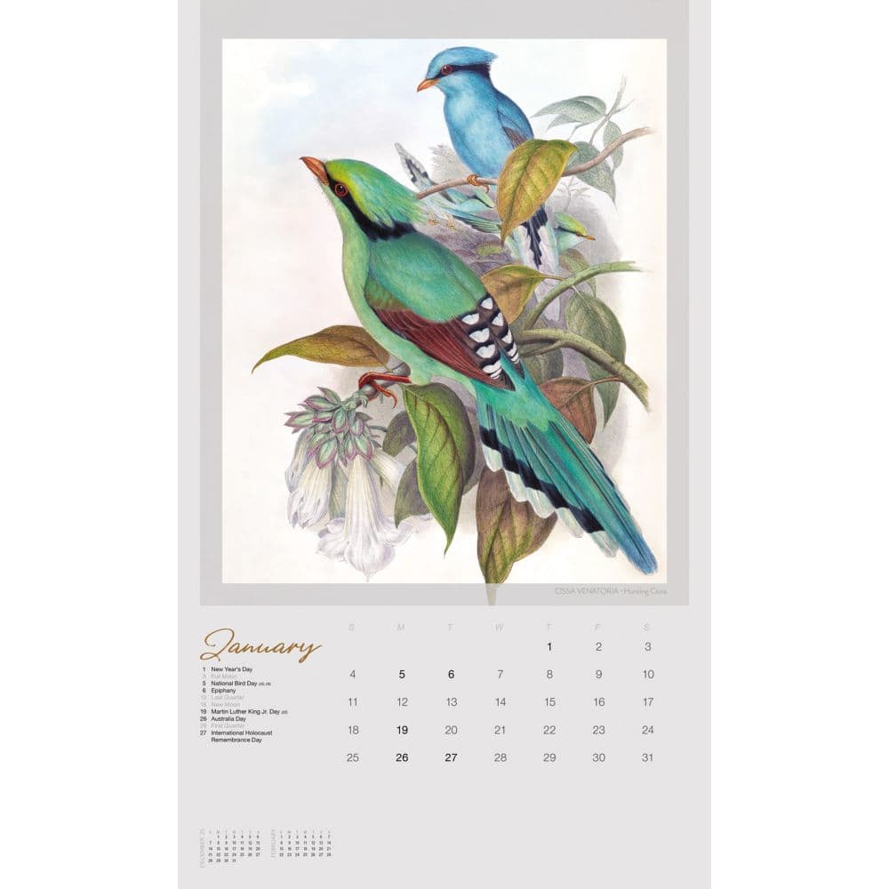 John Goulds Exotic Birds Poster 2026 Wall Calendar Second Alternate Image