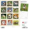image Bulldogs 2024 Wall Calendar First Alternate Image width=&quot;1000&quot; height=&quot;1000&quot;