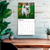 image Chihuahuas 2027 Wall Calendar Fourth Alternate Image