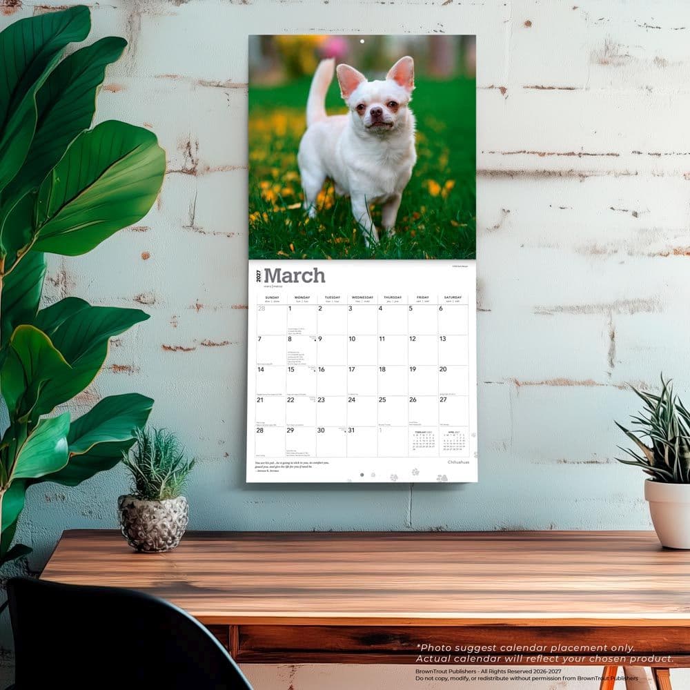 Chihuahuas 2027 Wall Calendar Fourth Alternate Image