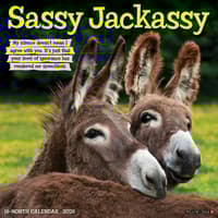 image Sassy Jackassy 2026 Wall Calendar Main Image